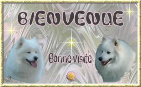 bienvenud