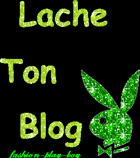 vos blogs